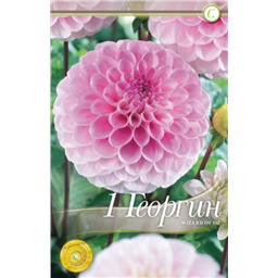 Визард оф Оз