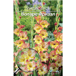 Воларе Фриззл