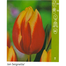 Жан Сегнетт