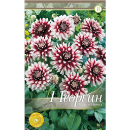 Зидлерштольц