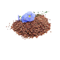 Семена овощных и цветочных культур весовые 