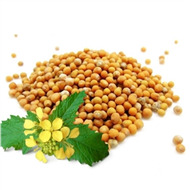 Семена цветов весовые