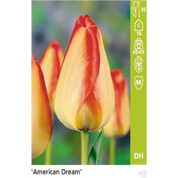 Американ Дрим