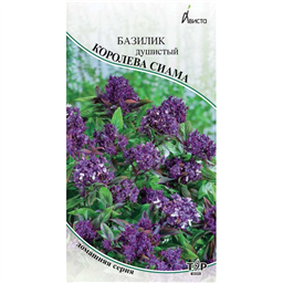 Базилик душистый Королева Сиама
