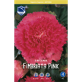 Бегония фимбриата Пинк