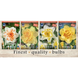 DON-215 Нарциссы Махровые(4x50шт.)12-14