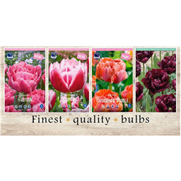 DOT-225 Тюльпаны Махровые Поздние(4x50шт.)12/+