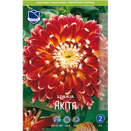 Георгина Акита