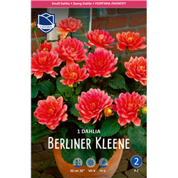 Георгина Берлинер Клайн