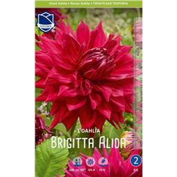 Георгина Бригитта Алида