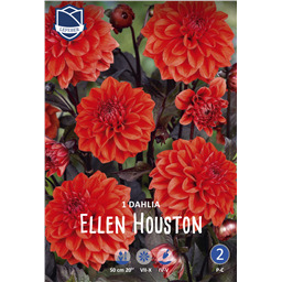 Георгина Эллен Хьюстон