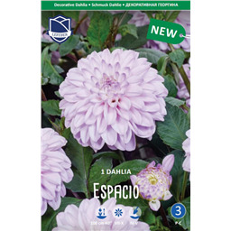 Георгина Эспасио