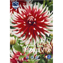 Георгина Фриколет