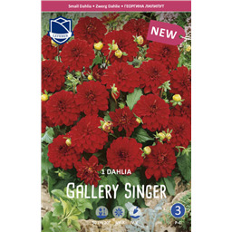 Георгина Гэллери Сингер