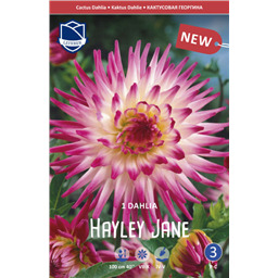 Георгина Хейли Джейн 