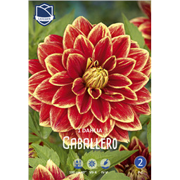 Георгина Кабаллеро