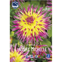 Георгина Линдсэй Мишель