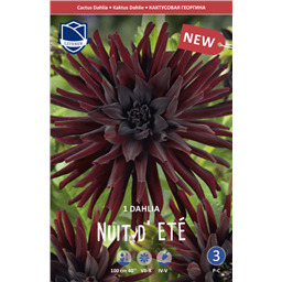 Георгина Нут д'Ете