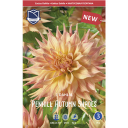 Георгина Пенхилл Отэм Шейдс