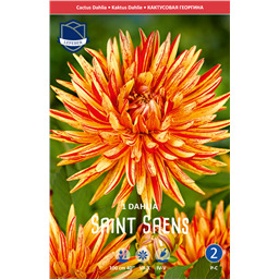 Георгина Саинт Санс