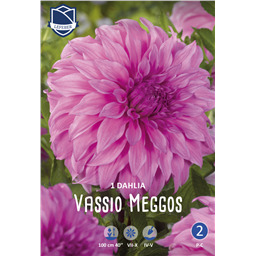 Георгина Васио Меггос