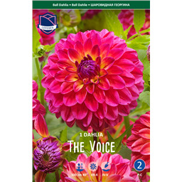 Георгина Зе Войс