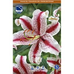 Лилия Диззи