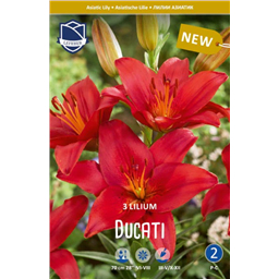 Лилия Дукати