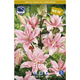 Лилия Элоди