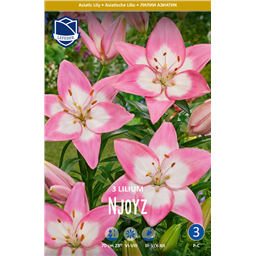 Лилия Энджойз