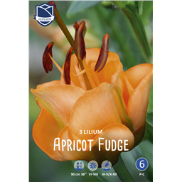 Лилия Эприкот Фадж