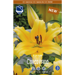 Лилия Корковадо