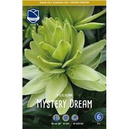 Лилия Мистери Дрим 