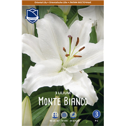Лилия Монте Бианко