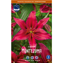 Лилия Монтезума