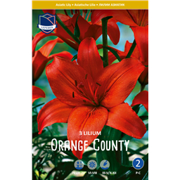 Лилия Оранж Каунти