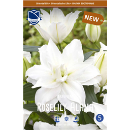 Лилия Розелли Алана