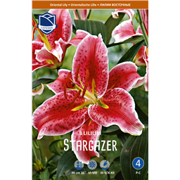 Лилия Старгайзер