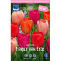 Микс Тюльпанов Фемели Ван Эйк