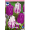 Микс Тюльпанов Парпл Пешн