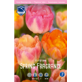Микс Тюльпанов Спринг Фрегенс