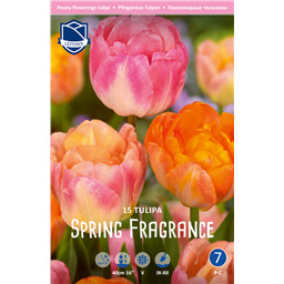 Микс Тюльпанов Спринг Фрегенс