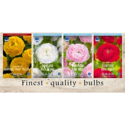 MIS-725 Ранункулюс (4x150шт.)7/8