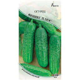 Огурец Феникс плюс 