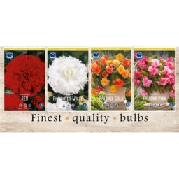 SBB-02 Бегонии (120pcs.)6/+