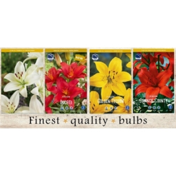 SBL-01 Лилии Азиатские (200pcs.)14/+