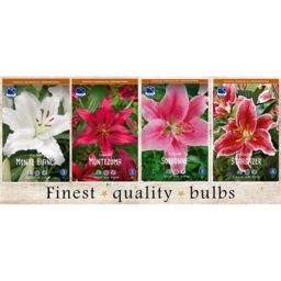 SBL-02 Лилии Восточные (160pcs.)16/+