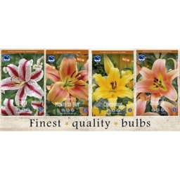 SBL-03 Лилии Восточные (160pcs.)16/+