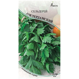 Сельдерей Амстердамский
