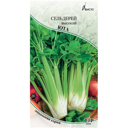 Сельдерей высокий Юта 